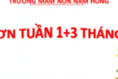 THỰC ĐƠN TUẦN 1+3 THÁNG 9 NĂM 2024