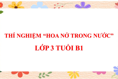 3B1- THÍ NGHIỆM “HOA NỞ TRONG NƯỚC”