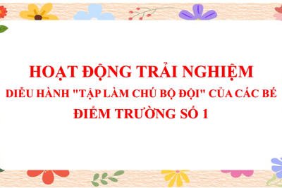 HOẠT ĐỘNG TRẢI NGHIỆM DIỄU HÀNH “TẬP LÀM CHÚ BỘ ĐỘI” CỦA CÁC BÉ ĐIỂM TRƯỜNG SỐ 1 TRƯỜNG MẦM NON NAM HỒNG
