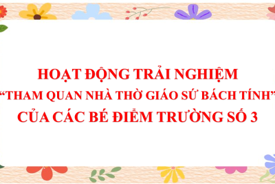 HOẠT ĐỘNG TRẢI NGHIỆM “THAM QUAN NHÀ THỜ GIÁO SỨ BÁCH TÍNH” CỦA CÁC CON ĐIỂM TRƯỜNG SỐ 3
