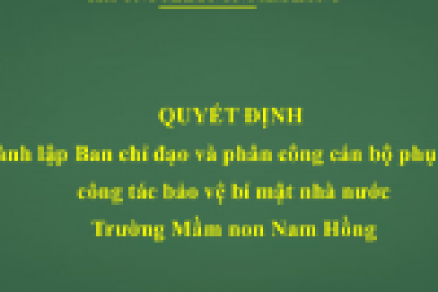 Quyết định thành lập Ban chỉ đạo và phân công cán bộ phụ trách công tác bảo vệ bí mật nhà nước năm 2025