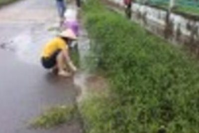 LAO ĐỘNG VỆ SINH NGÀY CHỦ NHẬT XANH T9-2024