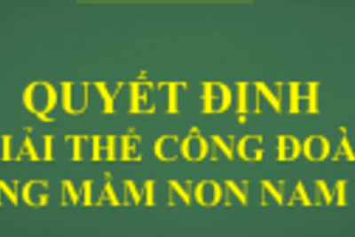 QUYẾT ĐỊNH GIẢI THỂ CÔNG ĐOÀN TRƯỜNG MẦM NON NAM HỒNG