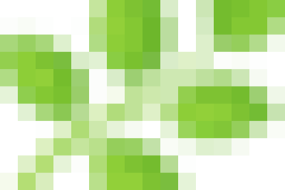 5A2 – HOẠT ĐỘNG TRẢI NGHIỆM “THĂM QUAN LÀNG NGHỀ TRUYỀN THỐNG LÀM BÁNH GAI CỦA