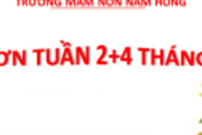 THỰC ĐƠN TUẦN 2+4 THÁNG 9 NĂM 2024